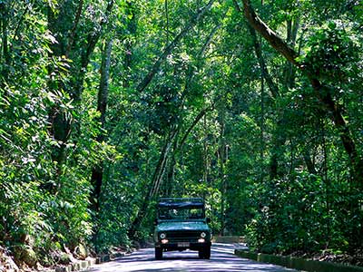 Jeep Tour Floresta da Tijuca (10)