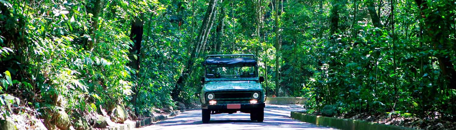 Jeep Tour Floresta da Tijuca (12)