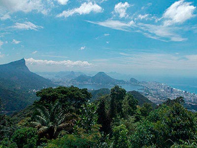 Jeep Tour Floresta da Tijuca (6)