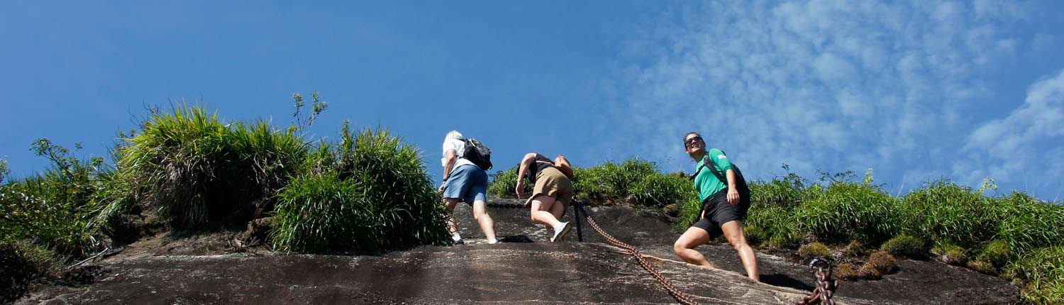 Sendero Pico de Tijuca