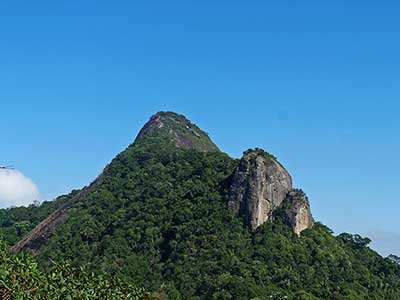 Pico da Tijuca (1)