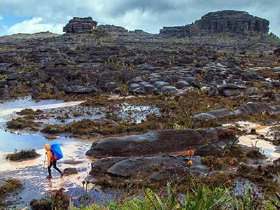 Expedición al Monte Roraima