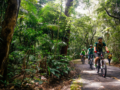 Mountain Bike Parque Nacional da Tijuca