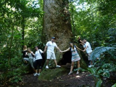 FLORESTA DA TIJUCA