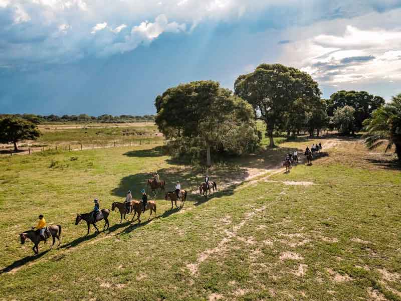 PACKAGE RIO FOZ AND PANTANAL WETLAND WILDLIFE BRAZIL