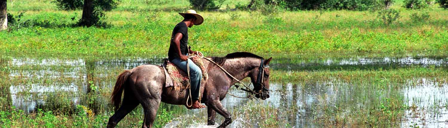 Paquete Pantanal RIo y Foz