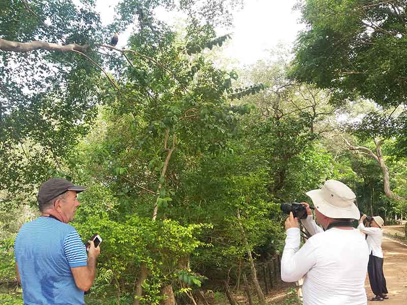 Paquete Río Foz y Pantanal - Brasil