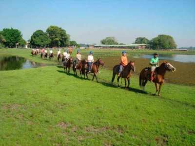 Paquete Río Foz y Pantanal - Brasil