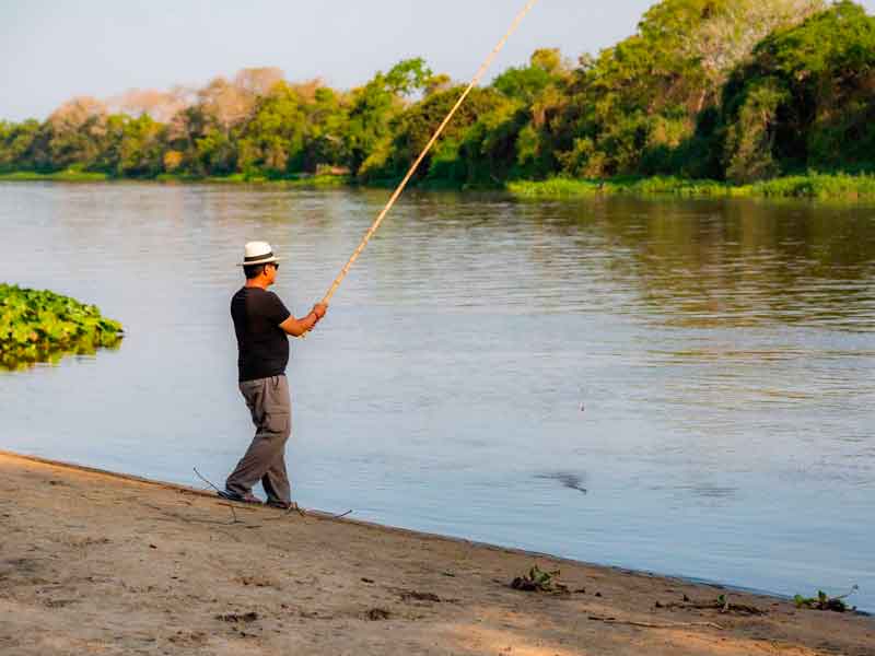 Paquete Río Foz y Pantanal - Brasil