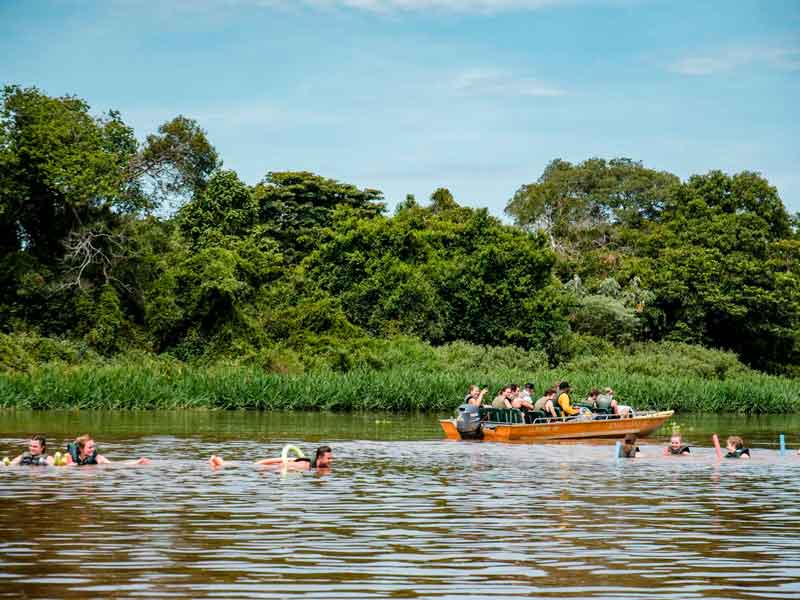 Paquete Río Foz y Pantanal - Brasil