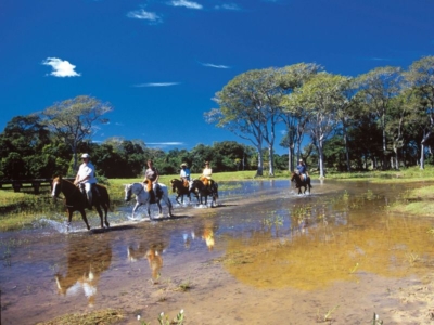 Pacote para o Pantanal