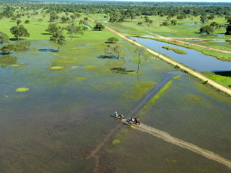 Pacote para o Pantanal