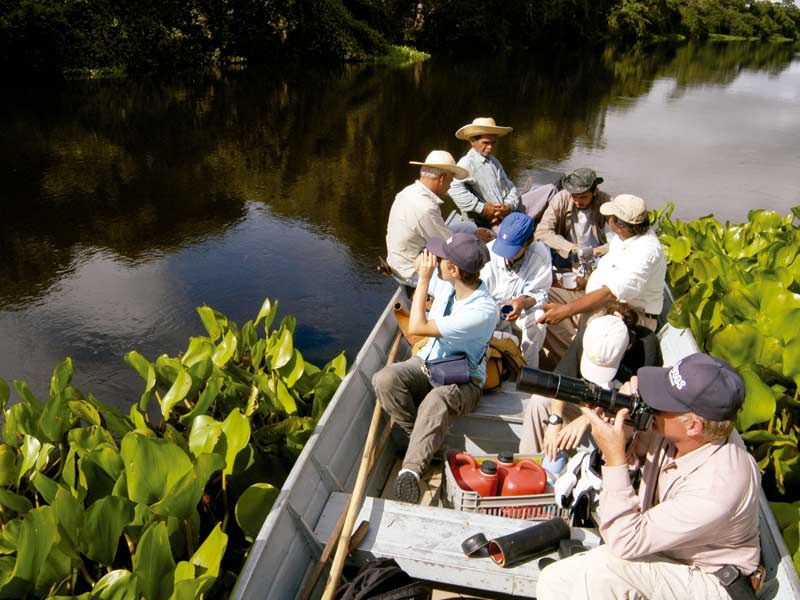 Pacote para o Pantanal