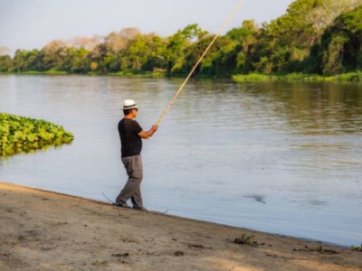 Pacote para o Pantanal