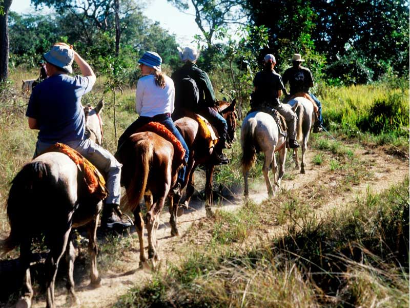 Pacote para o Pantanal