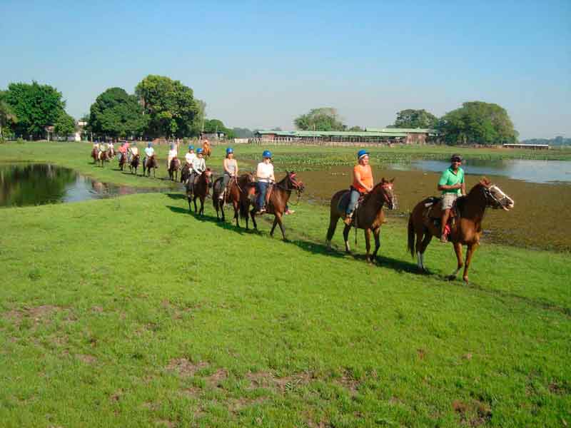 PACKAGE RIO AND PANTANAL WETLAND - BRAZIL