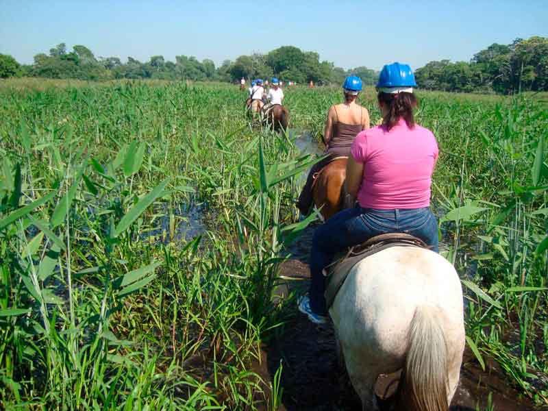 PACKAGE RIO AND PANTANAL WETLAND - BRAZIL