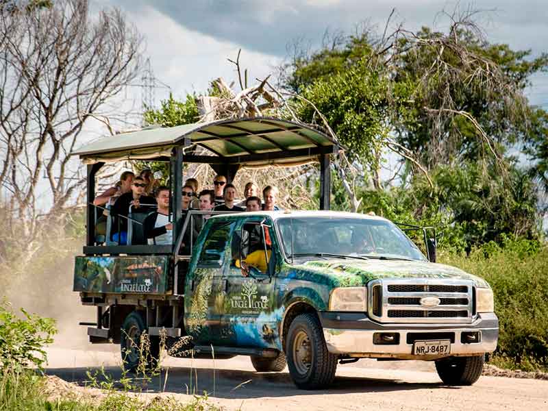 PACKAGE RIO AND PANTANAL WETLAND - BRAZIL