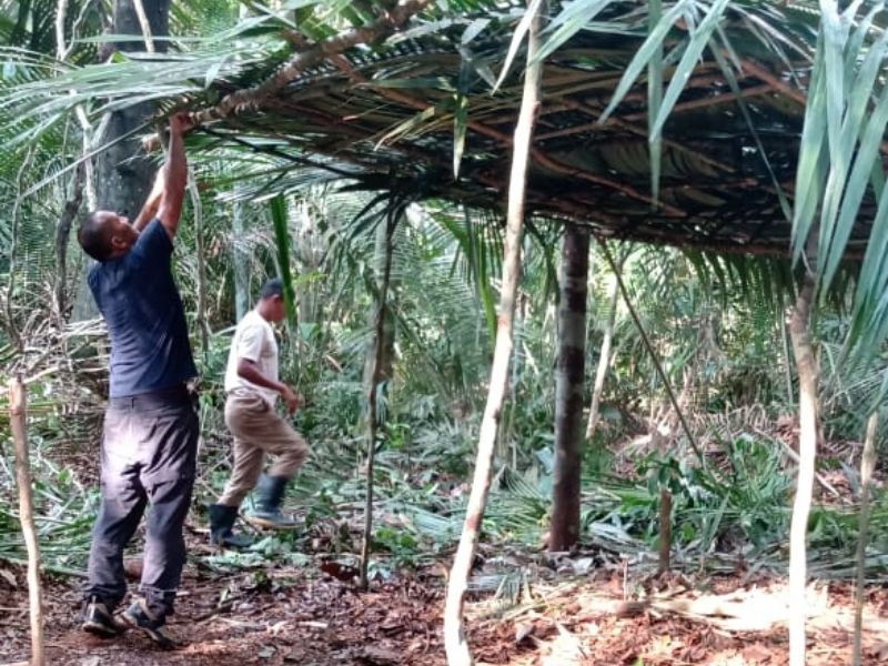 Pacote Vivência Selvagem na Amazônia