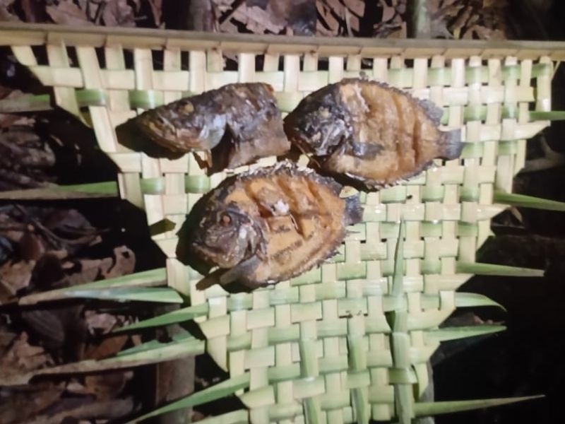 Pacote Vivência Selvagem na Amazônia