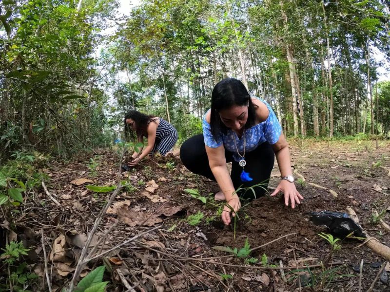 EXPEDITION PACKAGE IN THE AMAZON