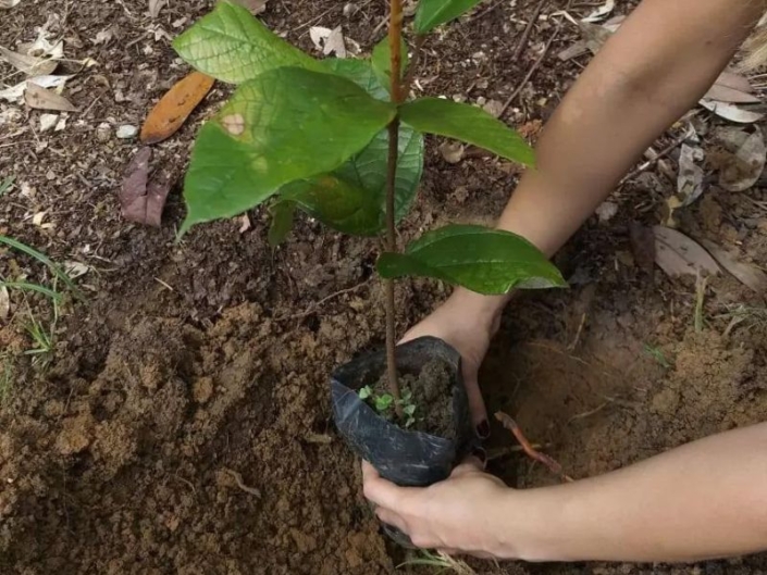 Pacote de Expedição para Amazônia