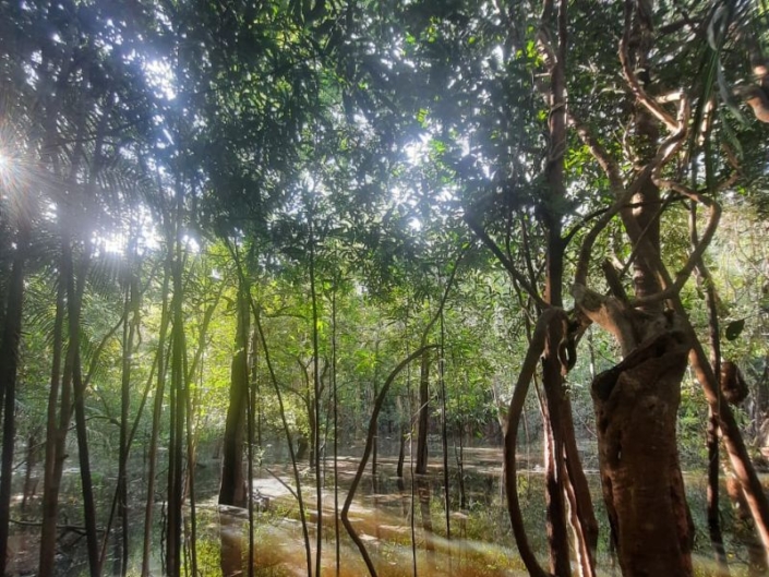 PAQUETE DE EXPEDICIÓN EN EL AMAZONAS