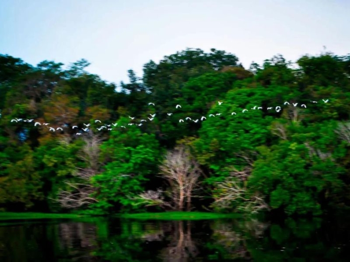 PAQUETE DE EXPEDICIÓN EN EL AMAZONAS