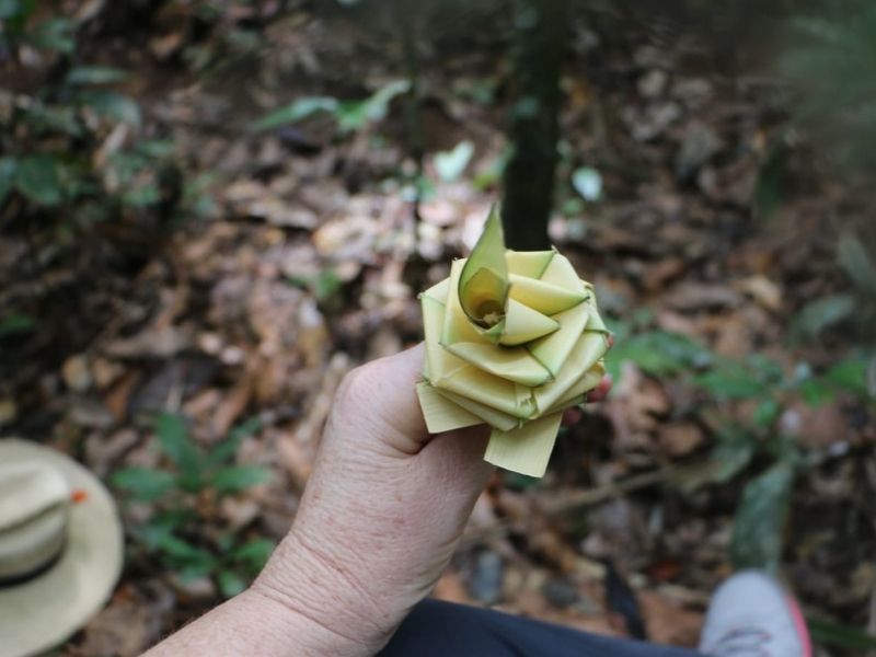 PAQUETE DE EXPERIENCIA DE SUPERVIVENCIA EN LA AMAZONÍA